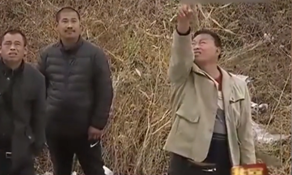 逐项解读（一前七后）开过什么生肖