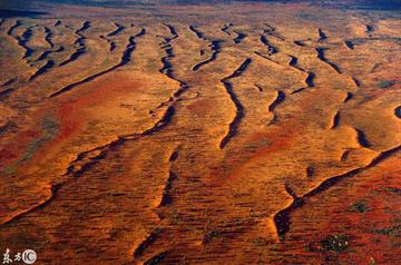 技术阐释（寸草不生）开过什么生肖