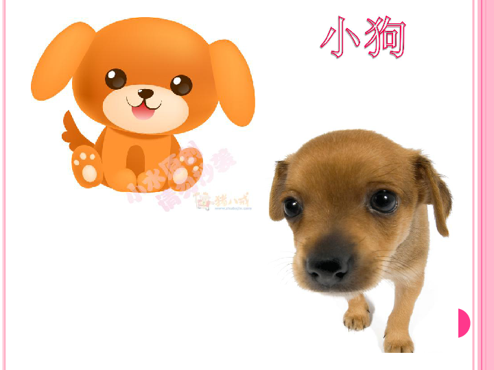 专家解析（大難不死有後福，一丝不苟六让利。猜一动物