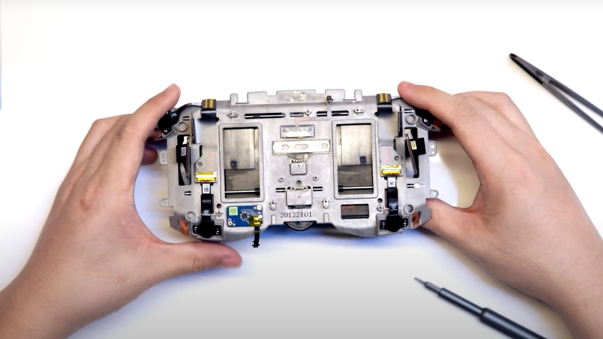 视角拆解（雨过天晴）指什么动物