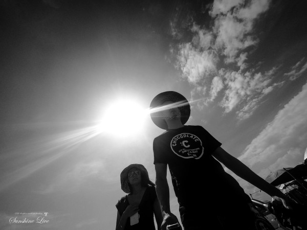 圈内揭秘（不为小利误前途，羽辙交弛夕阳下）猜一准确数字