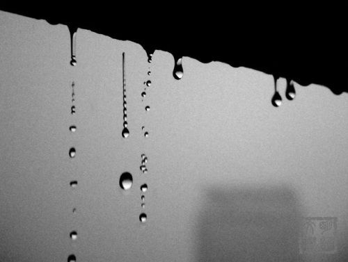 图文解析（心乱如麻）打一动物谜底