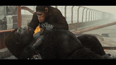 专家解析（稀里哗啦）猜数字