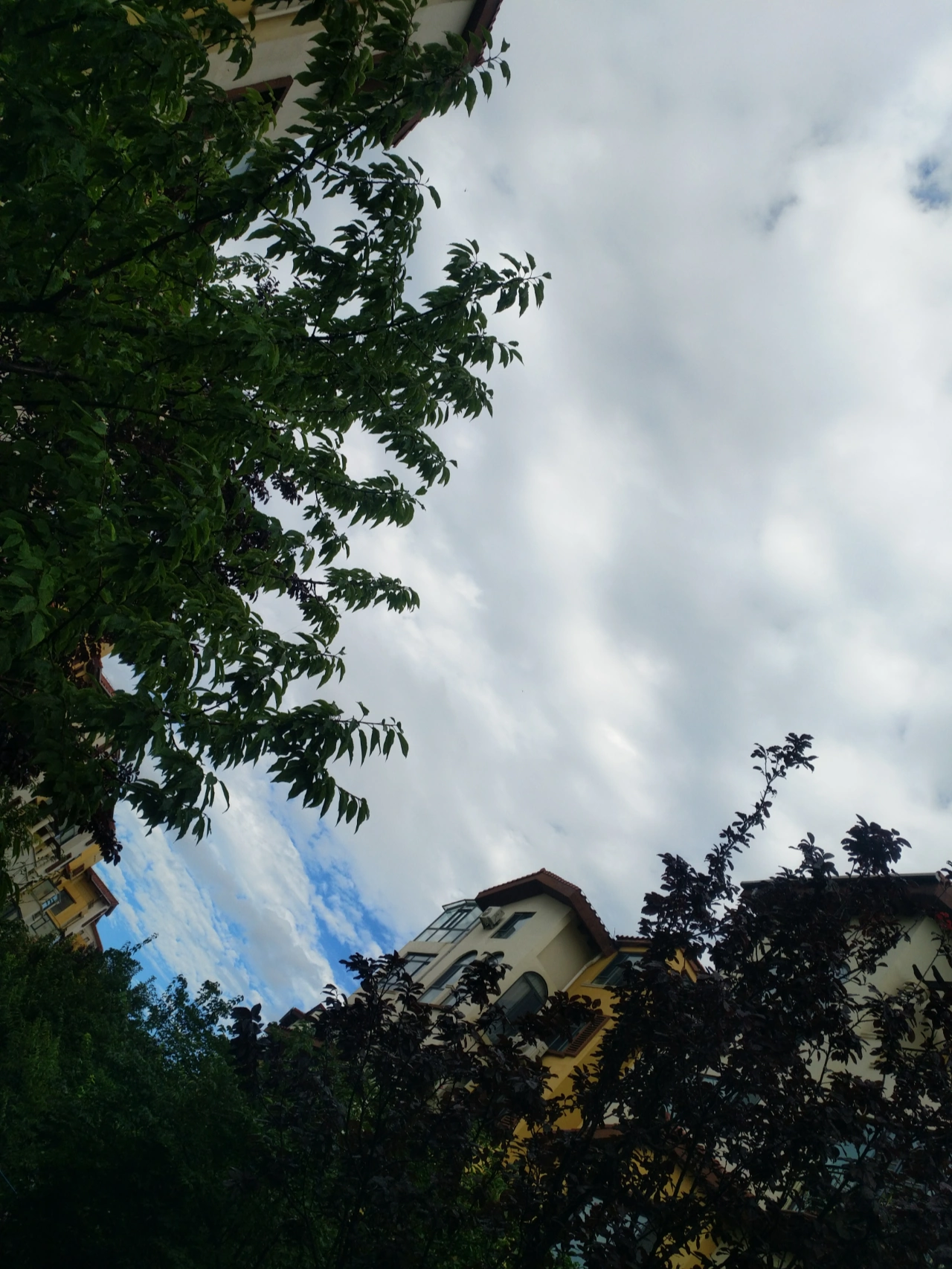 资深分析（雨过天晴）是什么生肖