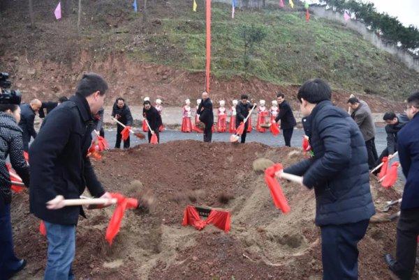 深度报道（马到成功）最正确生肖