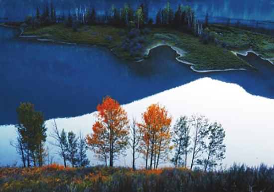 深度剖析（相映成趣）巧解一最佳最佳生肖