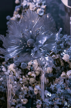 热点剖析（蓝天绿地鸟儿飞，挑得蓝里便是来）打一生肖动物