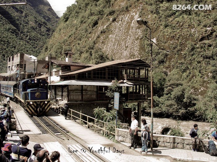 家点评（东征西站）本期生肖