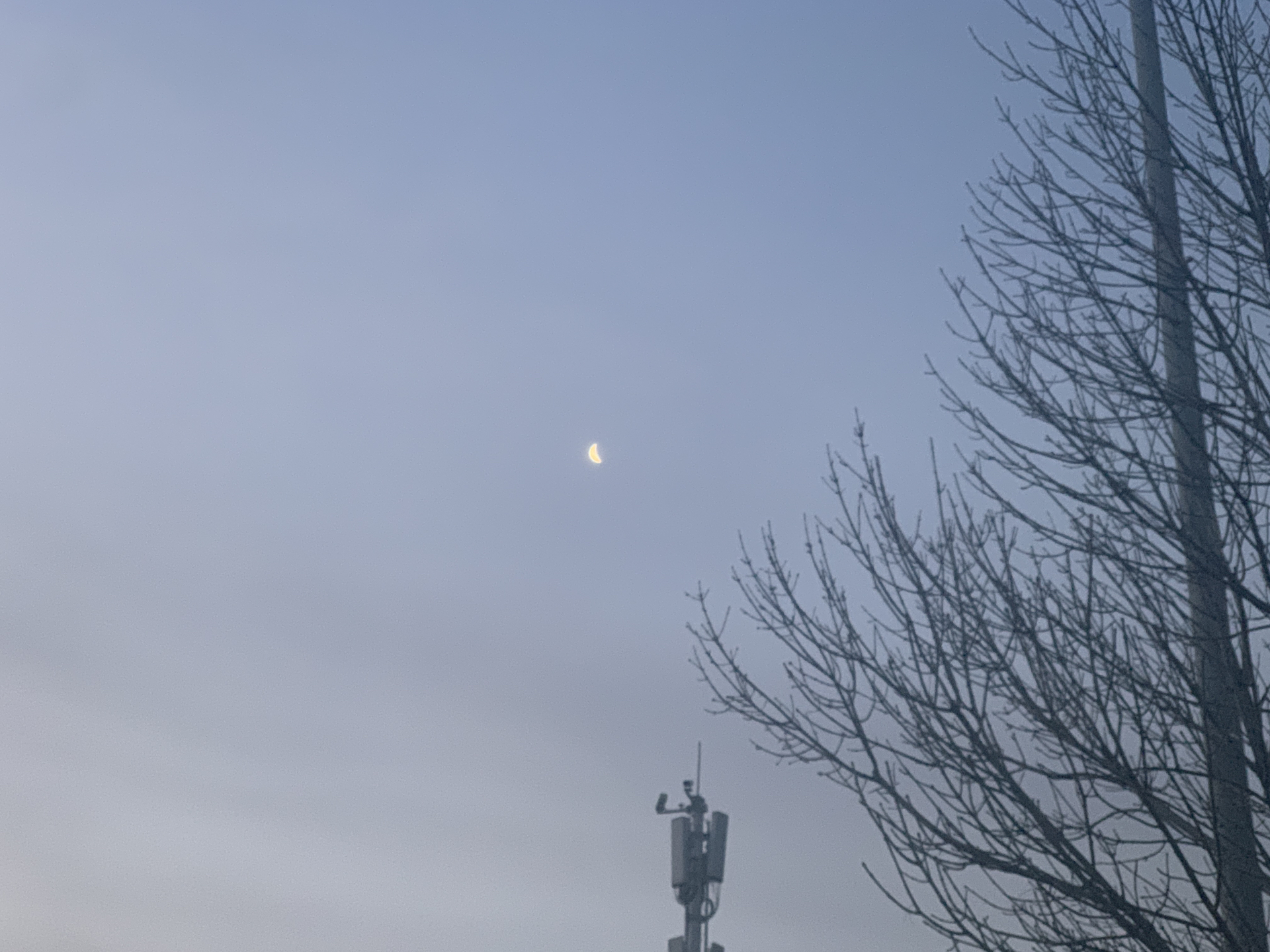 逐项解读（披星戴月）打一最佳最佳生肖词语