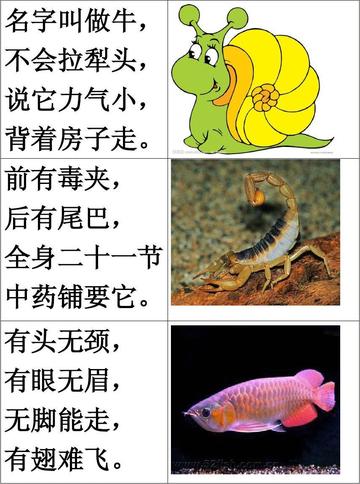 行家点评（君不用问知基数，只观浮云风雨目）猜一准确动物