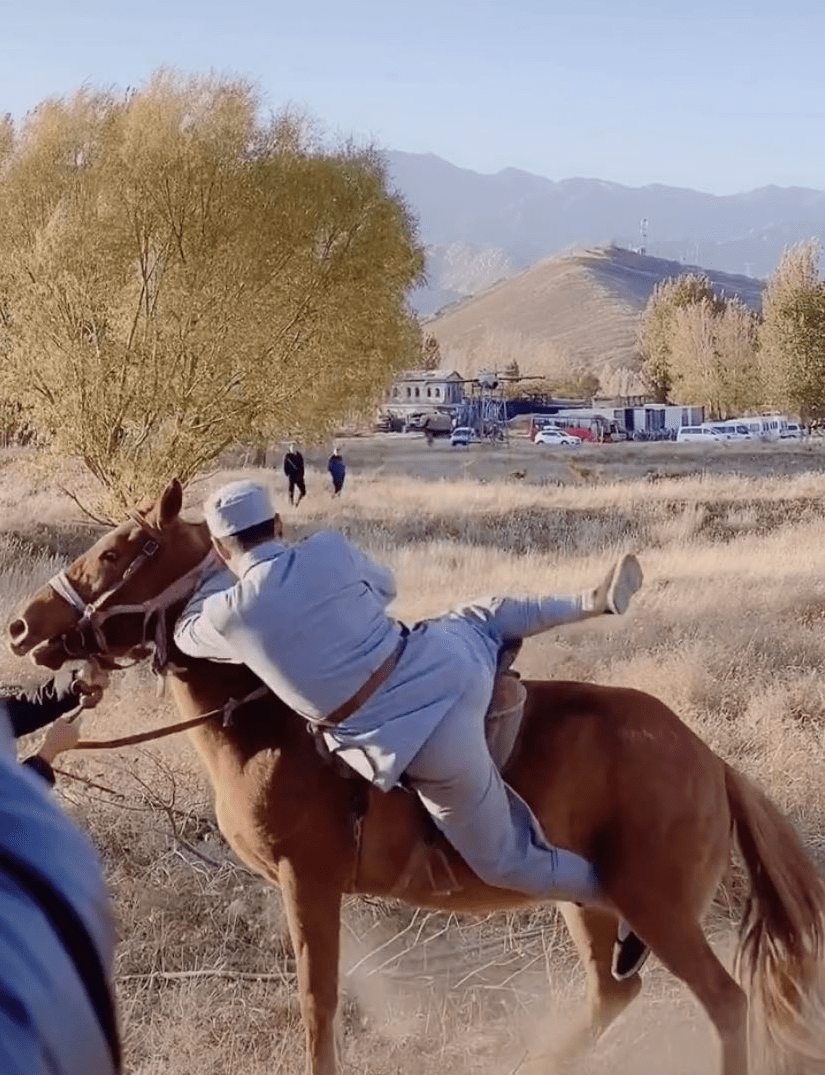 权威解读（金木两行可中特，老猴骑马倒着走。打一准确生肖