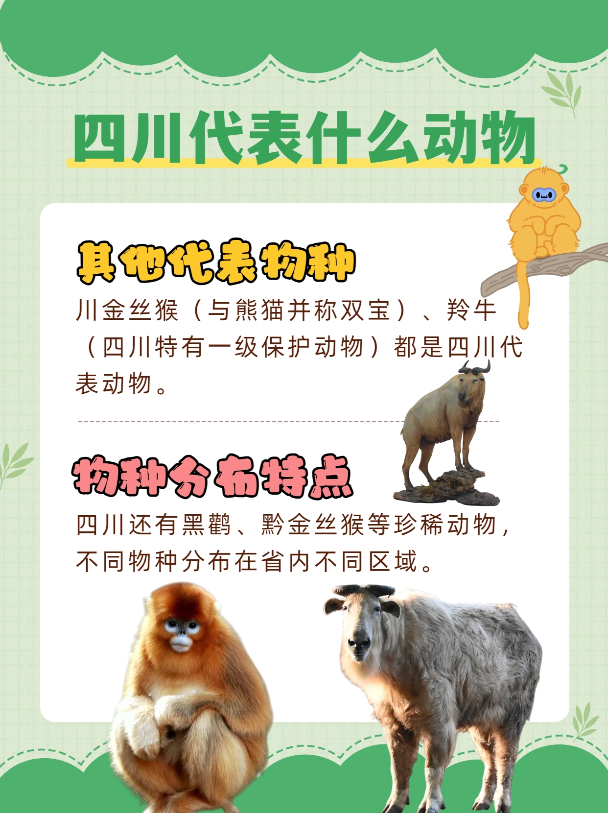 家点评（春色满园关不住，佳人妩媚天际来）代表什么动物