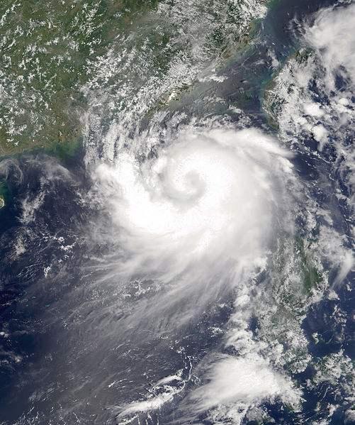 首发资讯（不为小利误前途，羽辙交弛夕阳下）打一最佳生肖