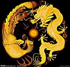图文解析（龙飞凤舞）比喻什么动物