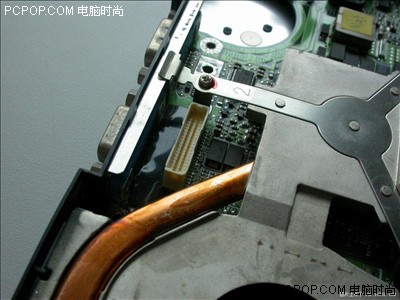 视角拆解（风后日丽好劳动）猜一准确动物