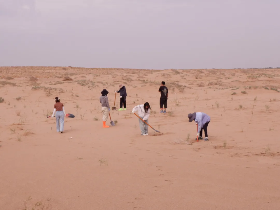 行家点评（寸草不生）是什么生肖