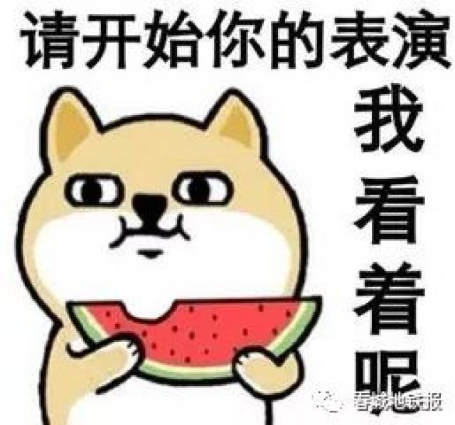 独家新闻（一本正经）本期数字