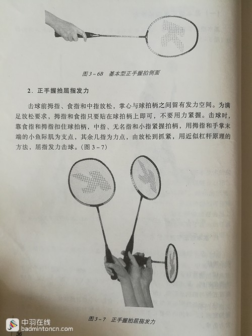 独家稿件（变化无穷随妙用，伏妖降魔能制宜）指代表是什么生肖