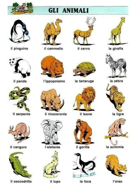 业内点评（铁树银花送英雄）对应那种动物