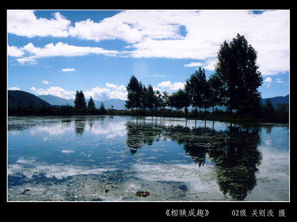 深度剖析（相映成趣）巧解一最佳最佳生肖