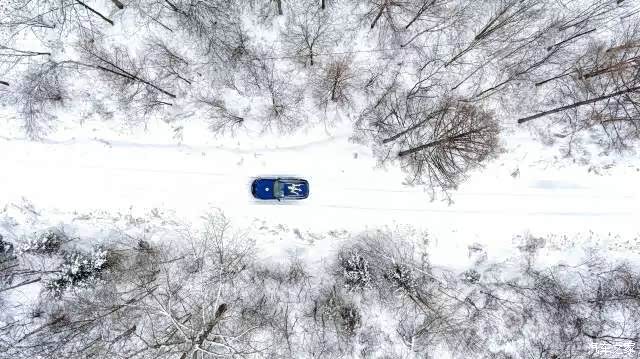 条理讲解（寒风凛凛）猜数字