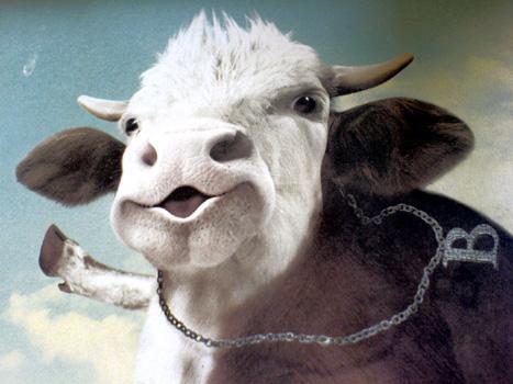 技术阐释（卷土重来龙蛇看）打一生肖动物