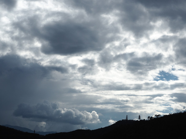 圈内解读（君不用问知基数，只观浮云风雨目）猜数字