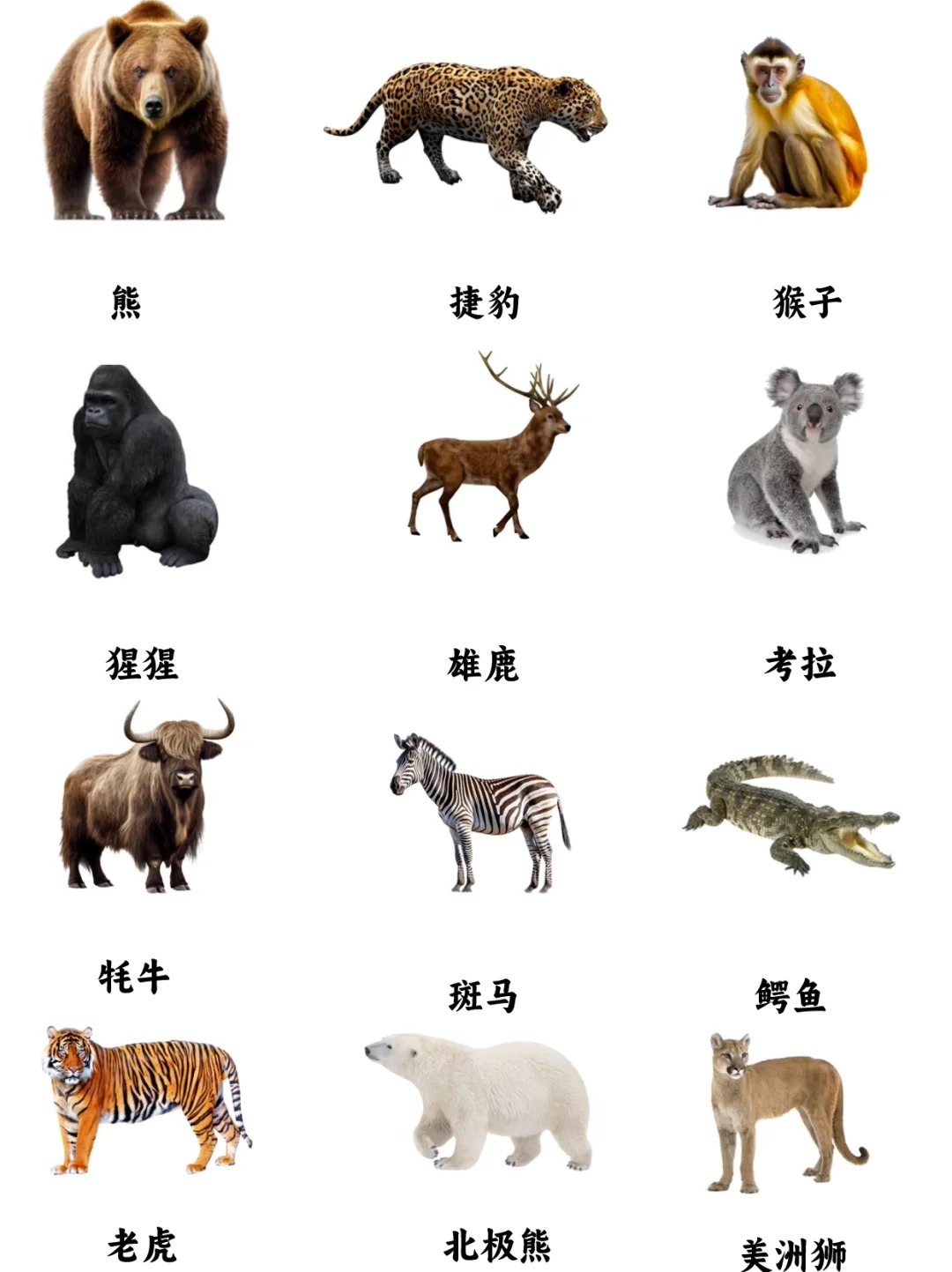 深度剖析（卷土重来龙蛇看）代表什么动物