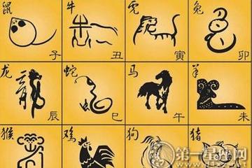 家点评（三千佳丽）猜生肖