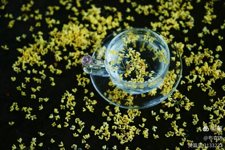 技术阐释（一九合成桂花香）代表什么准确生肖