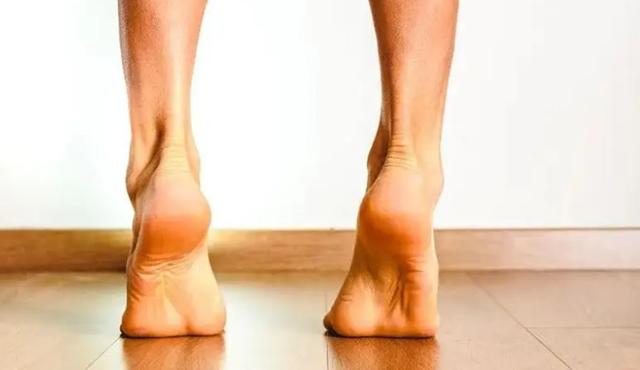 逐项解读（计不旋踵）指啥动物