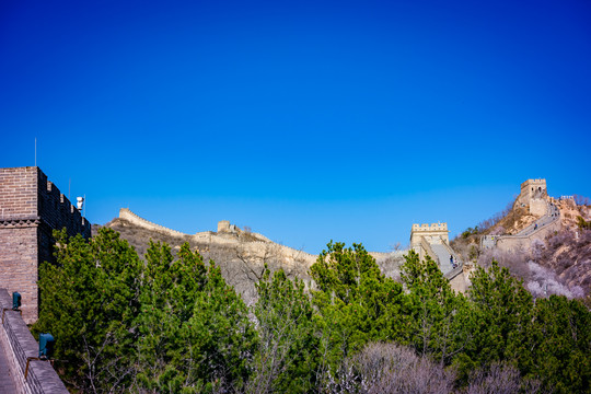 深度剖析（欲钱飞上蓝天空，长城内外尽朝绿）打一准确生肖动物