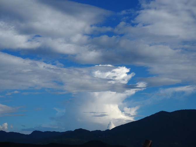 学术阐释（君不用问知基数，只观浮云风雨目）本期生肖