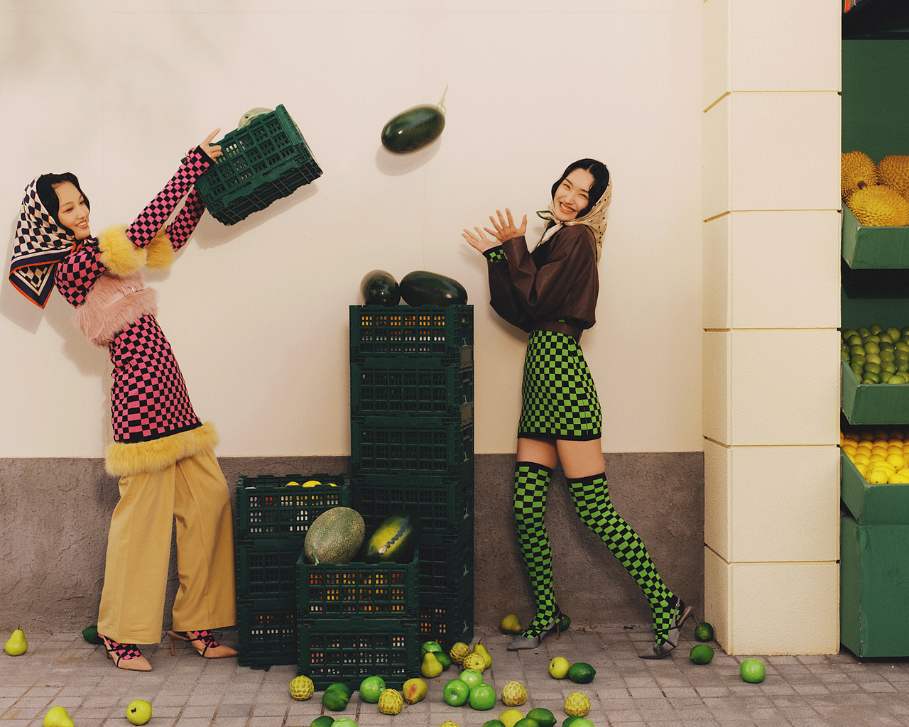 权威解读（相映成趣）猜动物