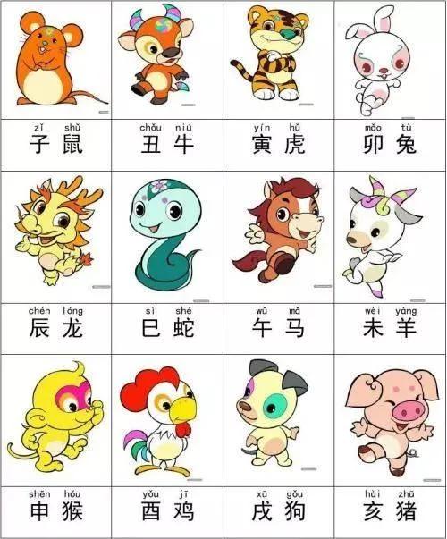 条理讲解（找白白嫩嫩的生肖）本期生肖