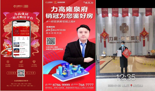 独家调查（越权附势人被迷，保驾护主看先锋）指代表是什么生肖