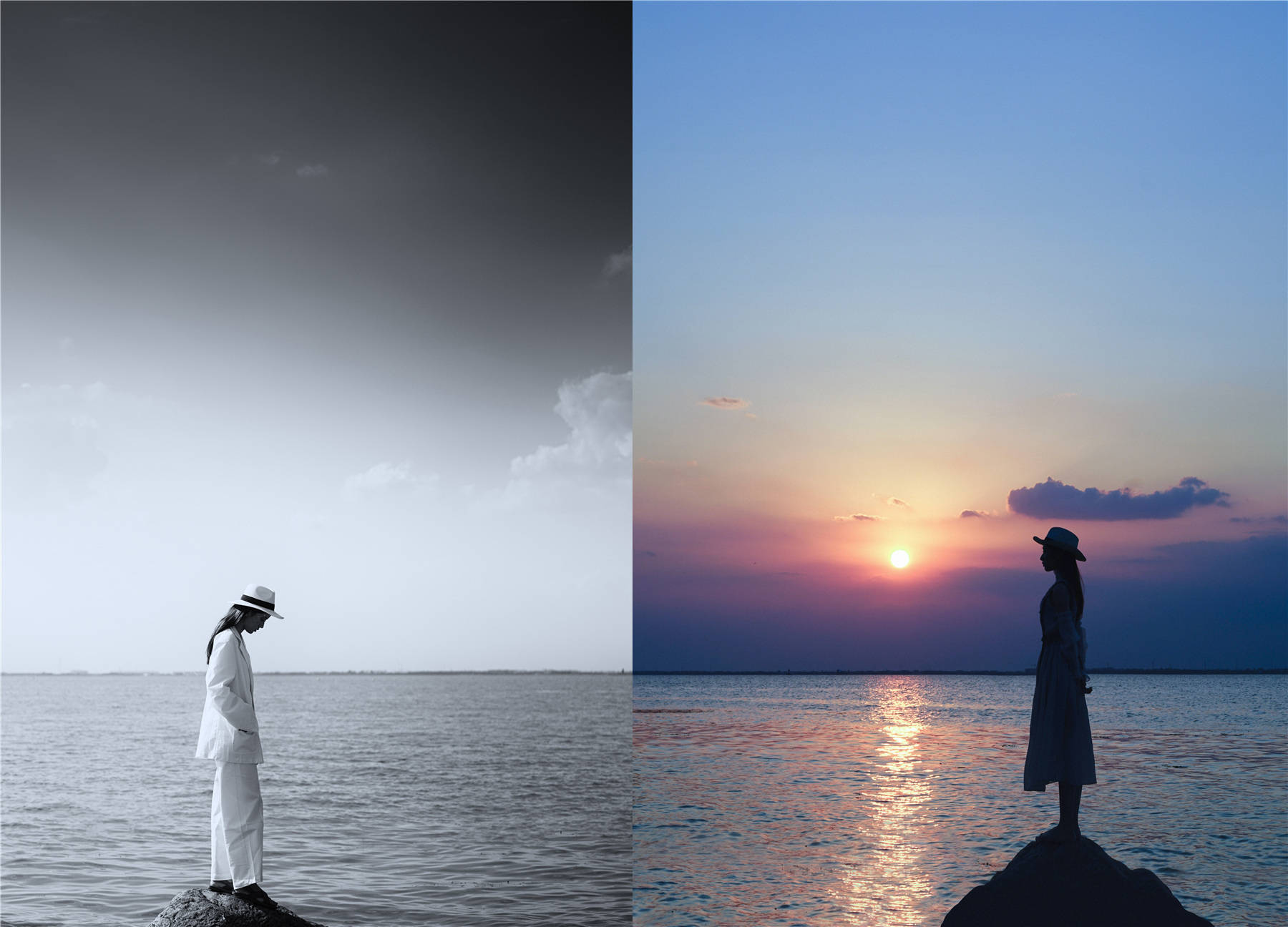 热点剖析（蓝天绿地鸟儿飞，挑得蓝里便是来）打一生肖动物