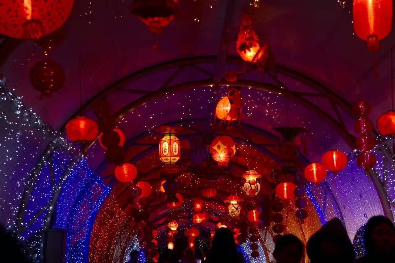 行家点评（一九合成桂花香）猜生肖