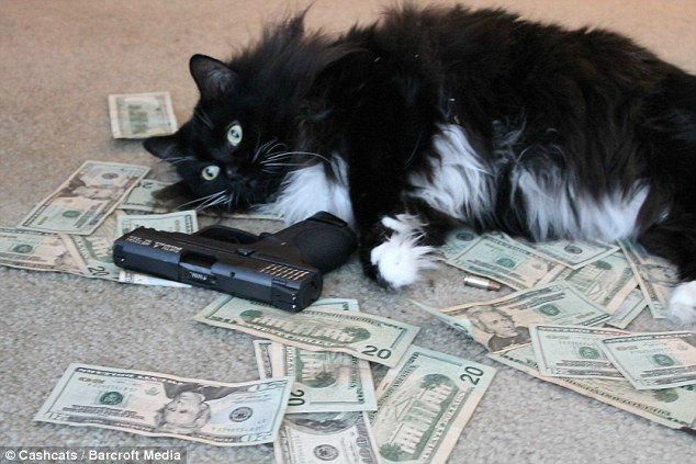 学术阐释（君不用问知其数，欲钱大方的动物）指哪个生肖