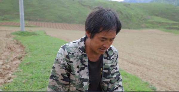 技术阐释（勤劳人家忙地头，吉人天相八面财）是打什么最佳精准生肖