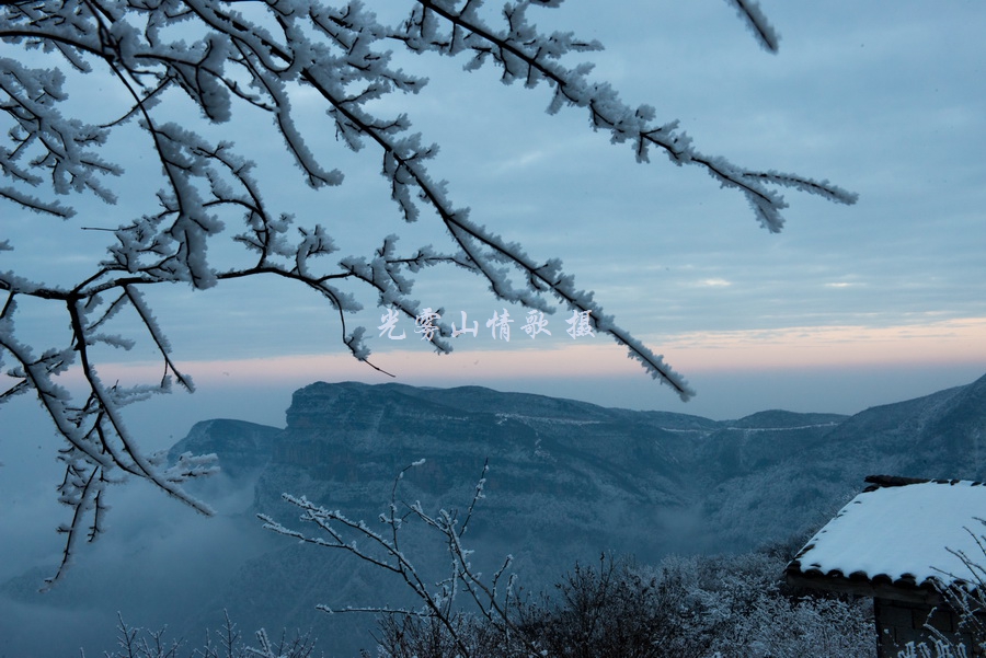 视角拆解（寒风凛凛）本期动物