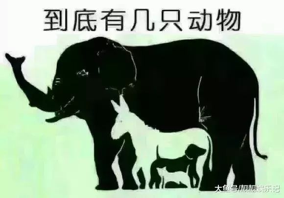 圈内揭秘（羊落虎口）猜一动物