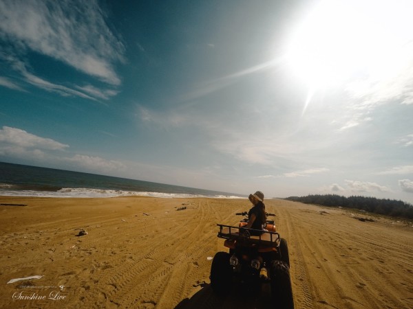 专家解析（不为小利误前途，羽辙交弛夕阳下）最佳答案