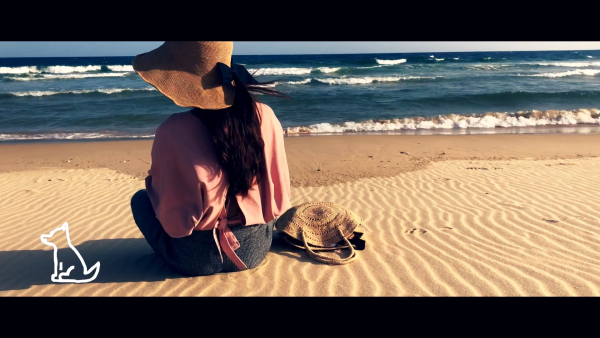 圈内揭秘（不为小利误前途，羽辙交弛夕阳下）猜一准确数字