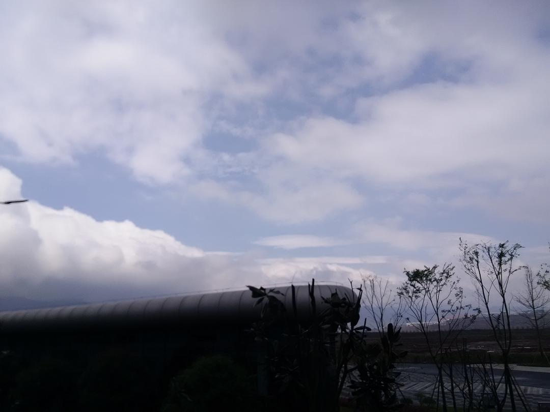 趋势研判（雨过天晴）代表什么准确生肖