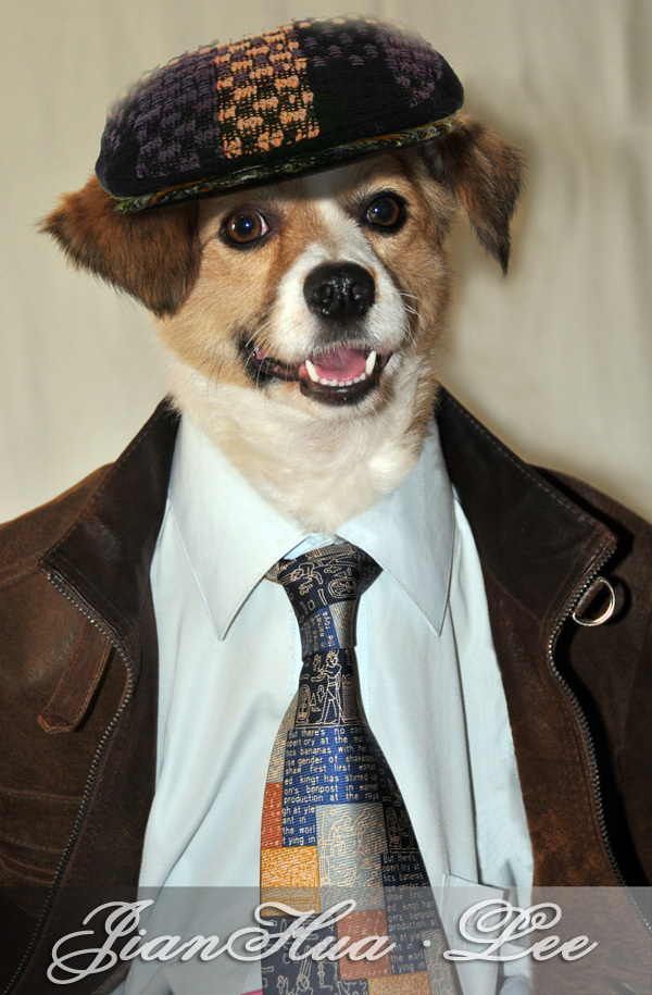 一手资讯（人模狗样）猜本期动物