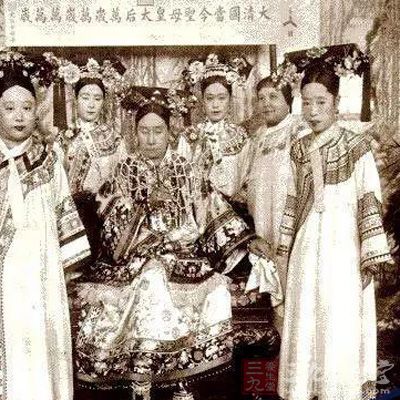 实战解析（三千佳丽）比喻什么动物