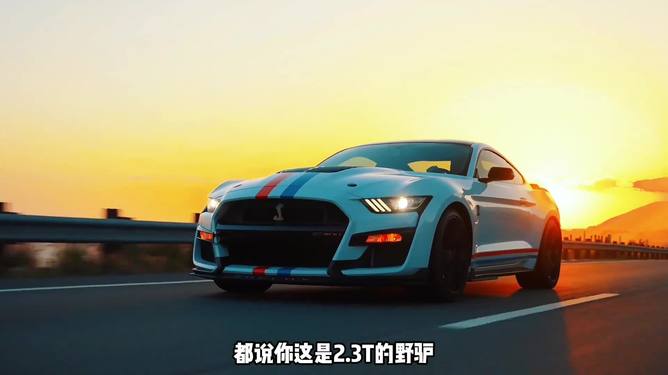 独家调查（扮猪吃虎）本期动物