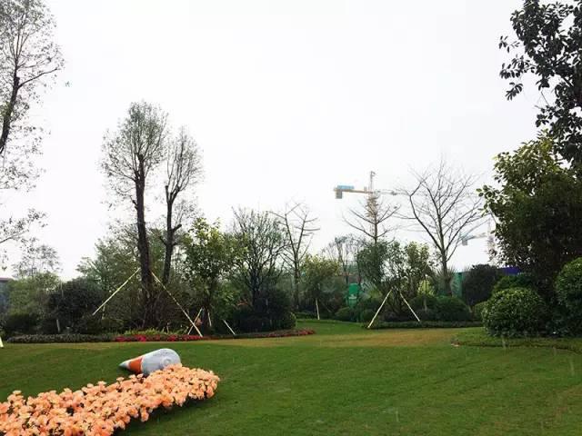 实战解析（披星戴月）猜生肖