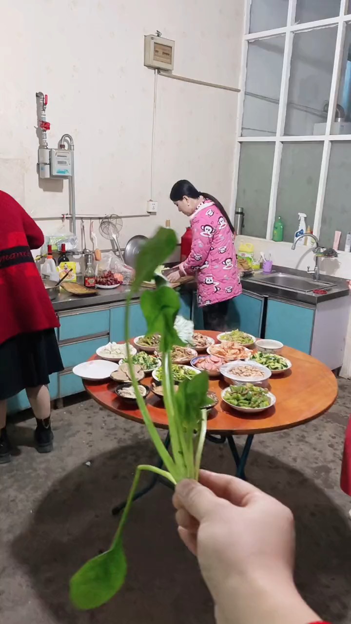 首发资讯（千变万化猴机灵，家有客人来半天）正确答案动物